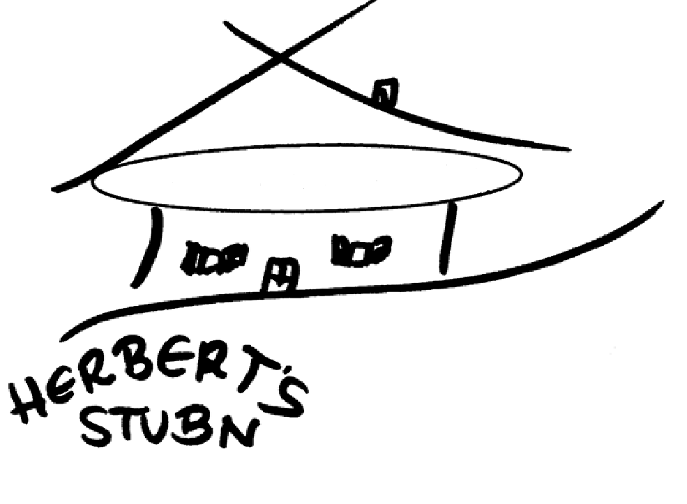 Herberts Stubn Logo